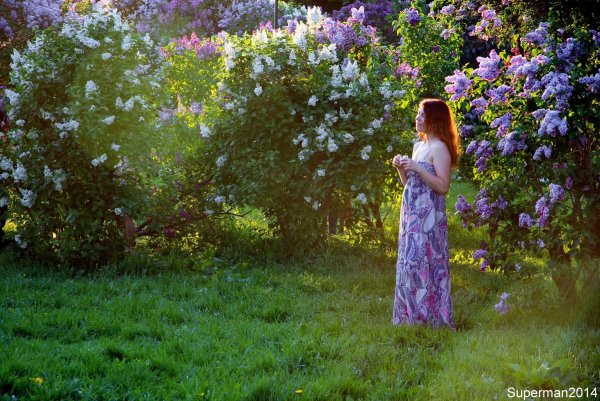 Фотосессия в сиреневом саду