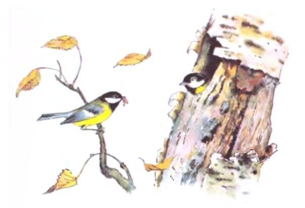 Бианки Синичкин календарь ноябрь