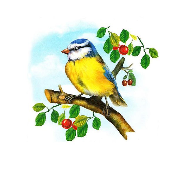 Виталий Бианки Синичкин календарь