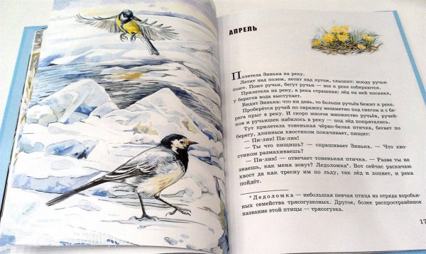 Бианки в. "Синичкин календарь"