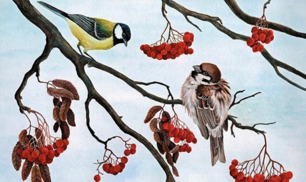 Синичкин календарь Бианки иллюстрации