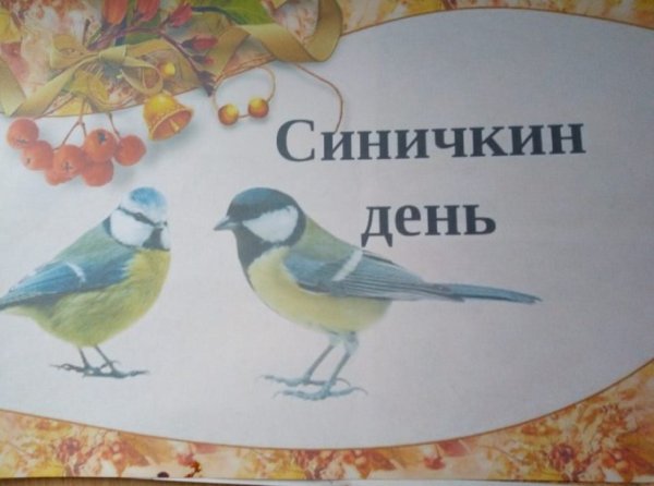 Синичкин день рождения