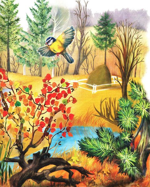 Виталий Бианки - Синичкин календарь: сказка