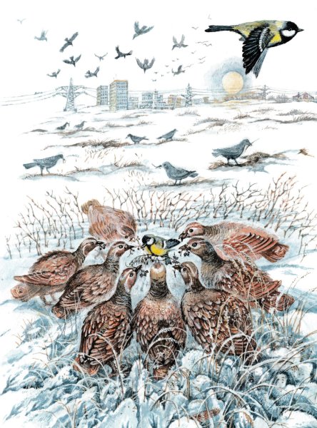 Синичка Зинька Бианки