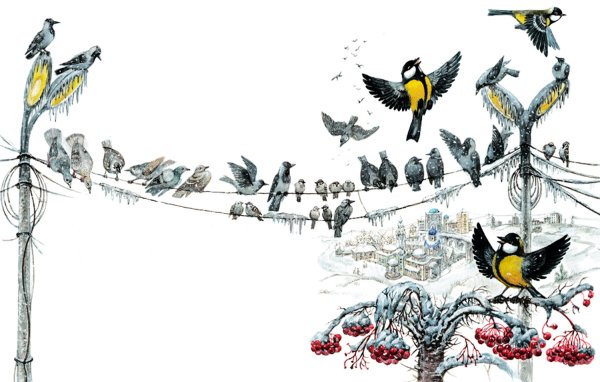 Иллюстрации к Синичкиному календарю