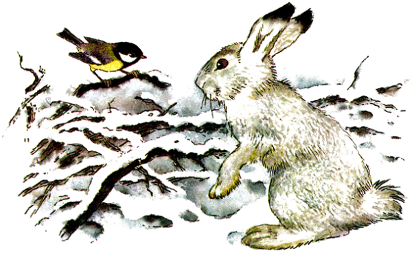 Бианки Синичкин календарь рисунки детей к рассказу