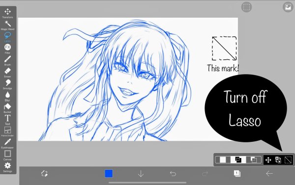 Раскраски для Ибис паинт Икс