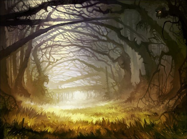 Страшный заколдованный лес