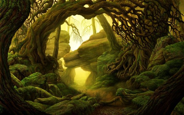 Дремучий лес фэнтези
