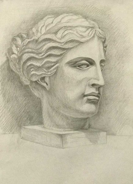 Афродита голова гипсовая МАРХИ