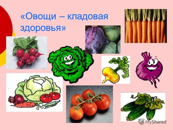 Витаминная кладовая