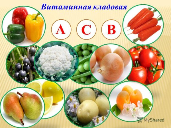 Витаминная кладовая