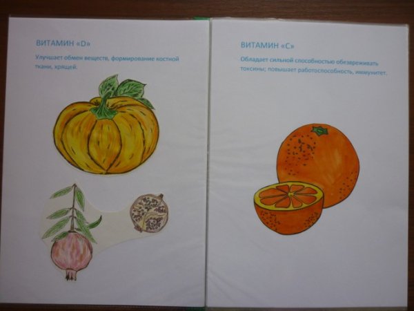 Рисунок на тему витаминная кладовка