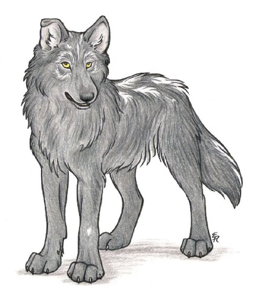 Волк сказочный