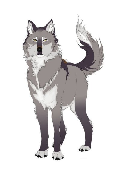 Волк для детей