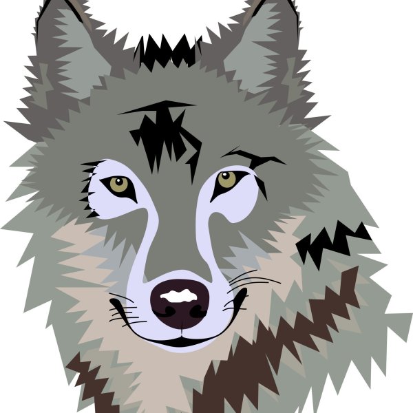 Волк для детей