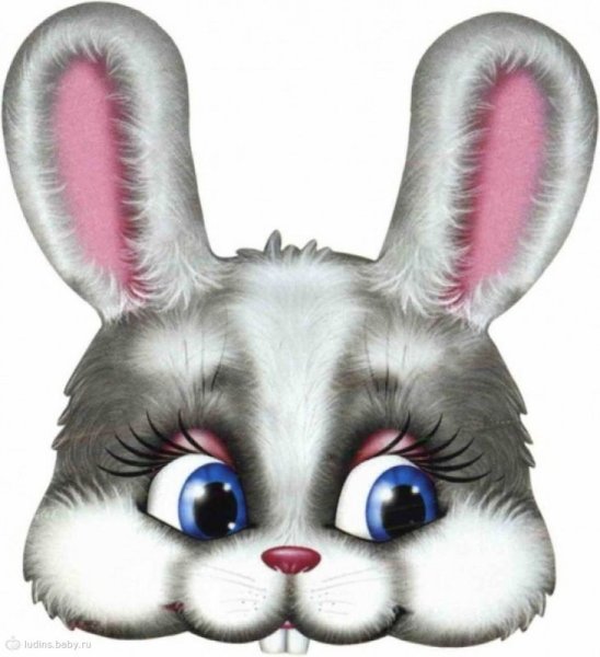 Мордочка милого зайчика