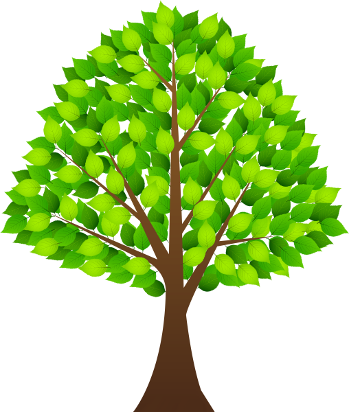 Нарисовать дерево