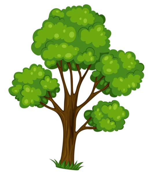 Изображение дерева