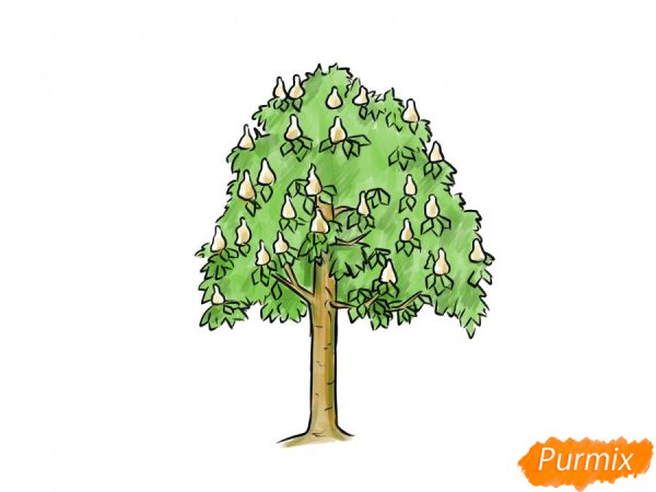 Каштан дерево рисунок для детей