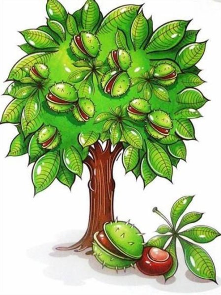 Изображение дерева каштан