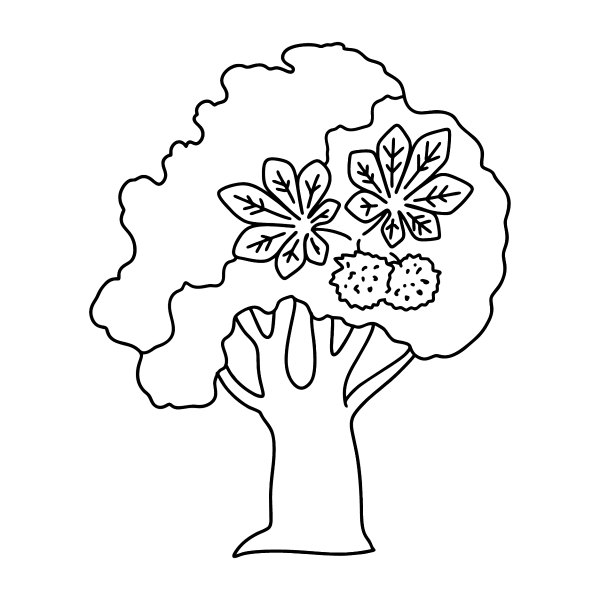 Каштан контур дерево