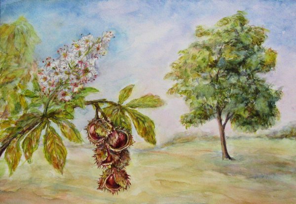 Каштан дерево akvarel