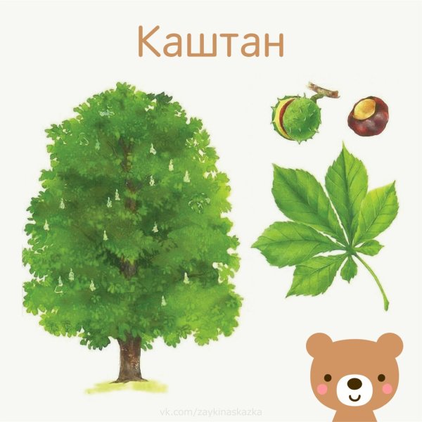 Дидактическая игра для детей "с какого дерева лист?"