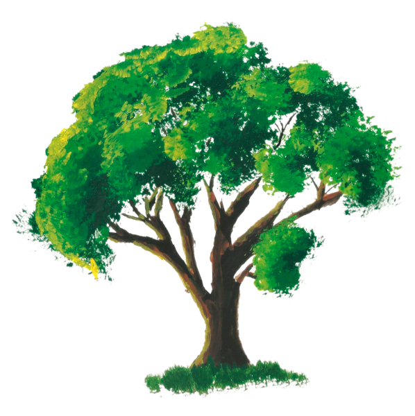 Летнее дерево на белом фоне