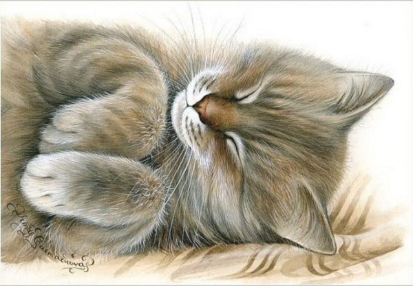 Ирина Гармашева художница