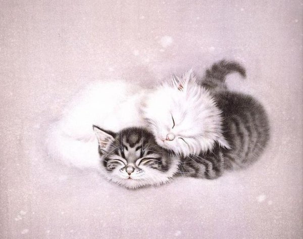 Кошки художника Сюй Синьци