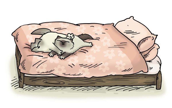 Кот Саймон спит