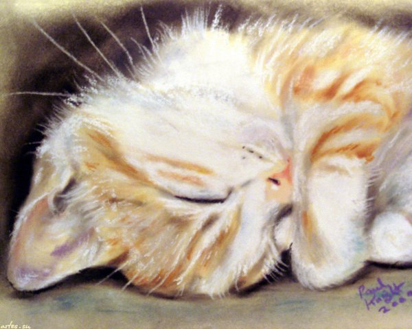 Художник Paul Knight. Кошки