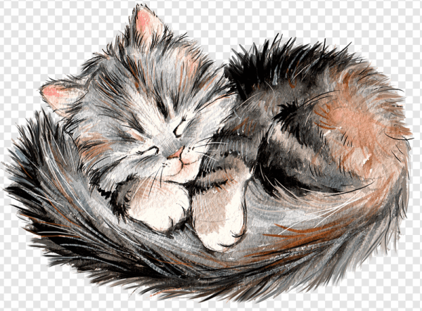 Котенок иллюстрация