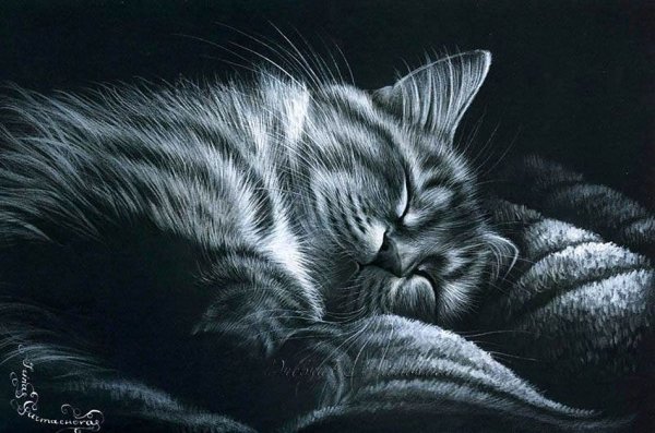 Коты художницы Ирины Гармашовой