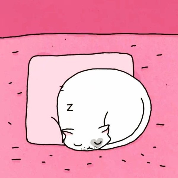 Мультяшные спящие котики