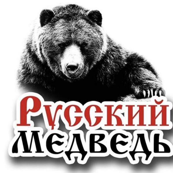 Медведь в шапке ушанке