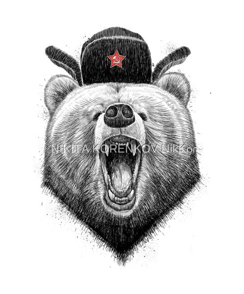 Медведь Россия картинки