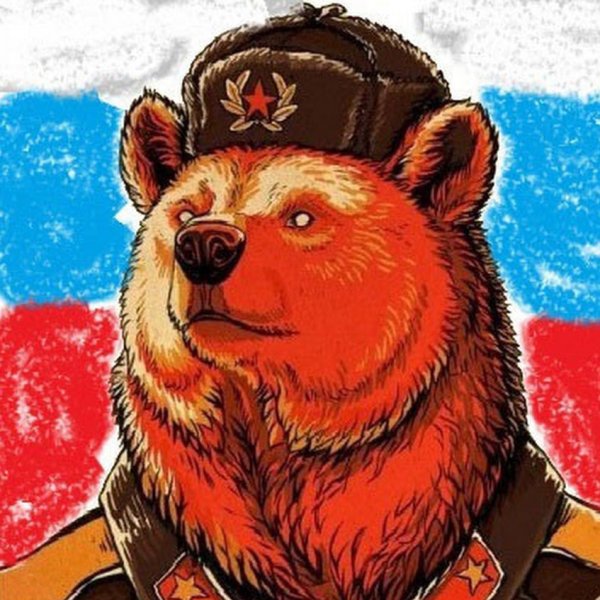 Медведь Россия