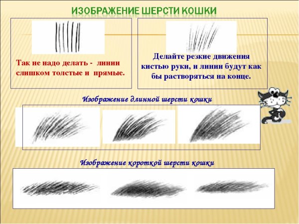 Как рисовать шерсть у кошек