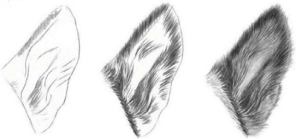 Рисование кошачьих ушей