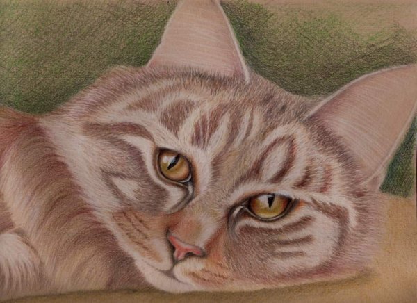 Нарисовать шерсть реалистично