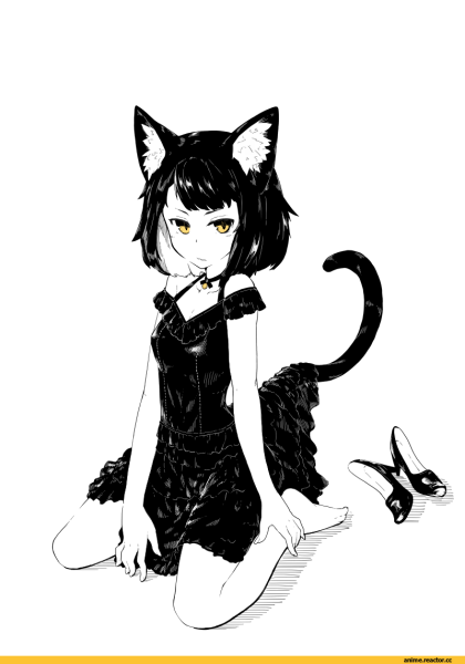 Аниме девушки кошки