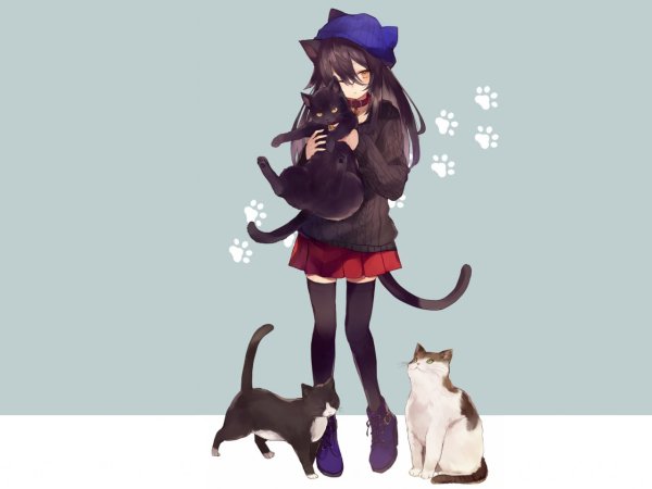Аниме девочка с котом