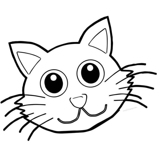 Морда кота раскраска