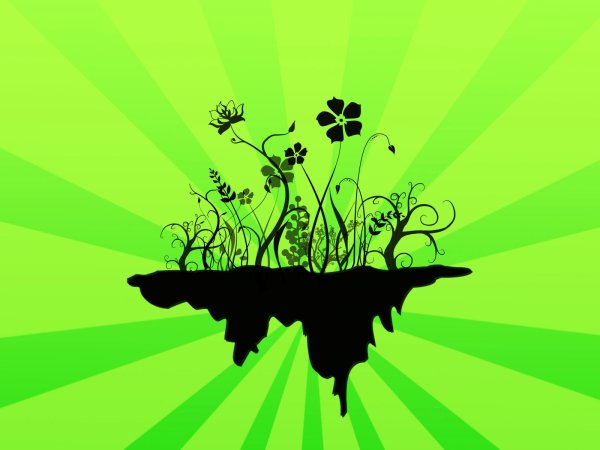 Рисунок на зеленом фоне