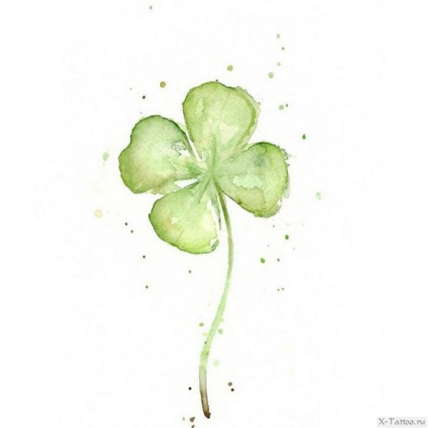 Тату Клевер четырехлистный акварель