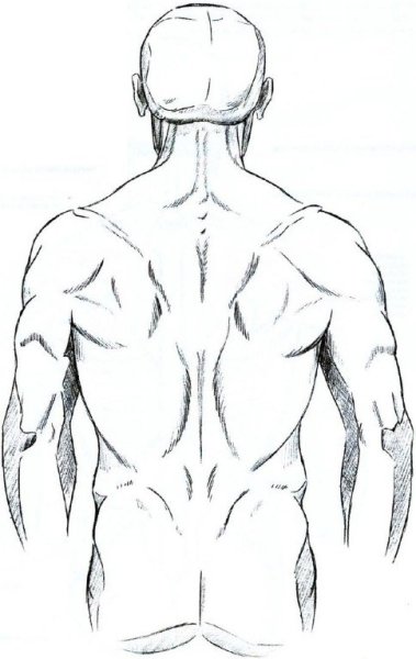 Человек спиной зарисовки