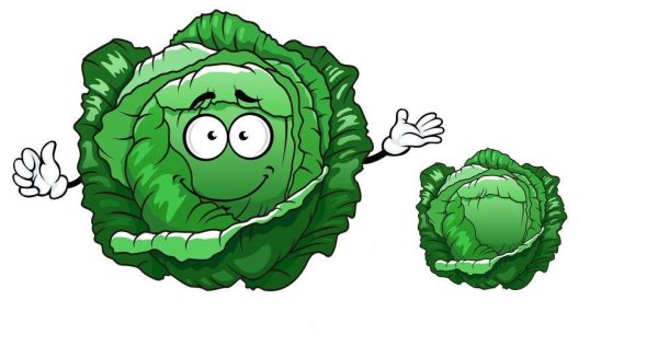 Ребенок в капусте