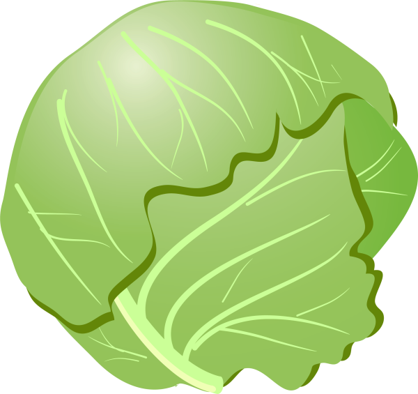 Картина капуста для детей